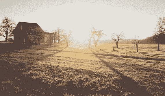 Layer-1-1.jpg