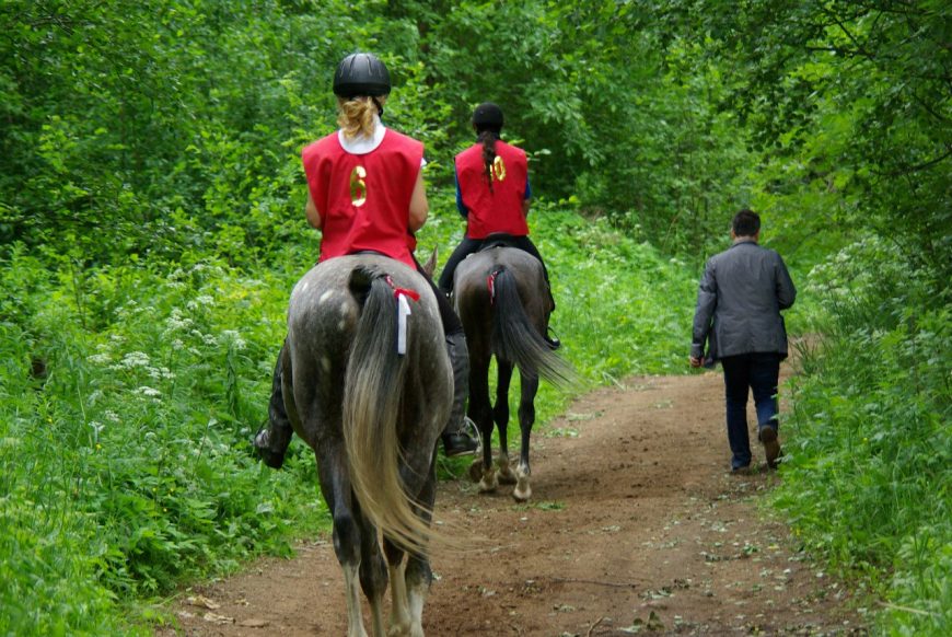 конные пробеги в петербурге